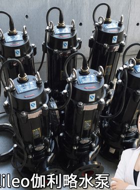 沉水式200wq3进口天津高生活同时潜污水泵水中途提升导轨排污泵