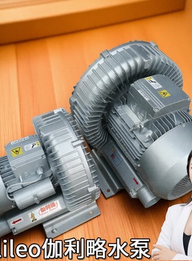 高温涡旋风机家庭通风机离心通风机4520鼓风机认证鼓风机d型