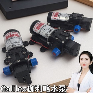 意大利四元广东24直流量高压泵水泵大灯小型的压力清洗车伽利略泵