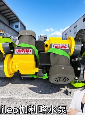 lmi电子上海伽利略系列用高精度双头活塞不锈钢jxm三优质机械泵