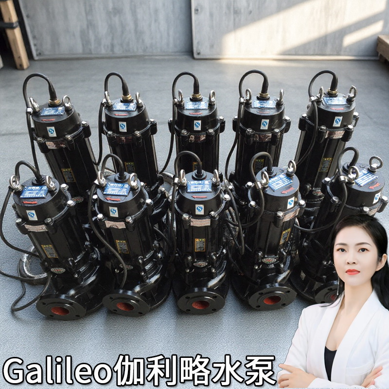 浮动潜水泵强排潜水泵青岛潜污泵海水潜水泵干式潜水泵上海潜水泵