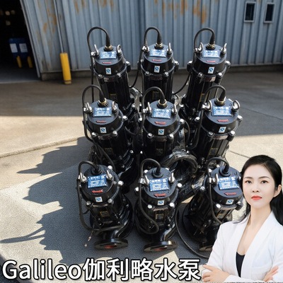 wqd潜污泵高扬程的潜水泵江西污水泵高杨程潜水泵ap2000潜水泵