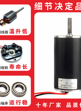 高速直流电机63ZYT108-R调速正反转小型电机马达12V24V棉花糖电机