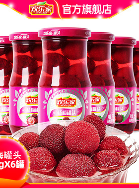 欢乐家 杨梅罐头256g*6瓶 新鲜糖水杨梅水果罐头烘焙商用原料批发