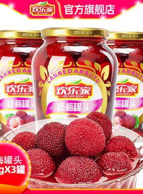 欢乐家 杨梅罐头900g*3大瓶 新鲜糖水杨梅水果罐头 餐饮原料批发