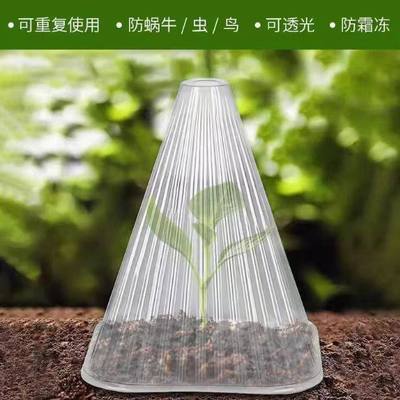 育苗罩方形育苗透明罩菜苗防冻罩免收霜冻鸟害防鸟罩植物罩菜苗罩