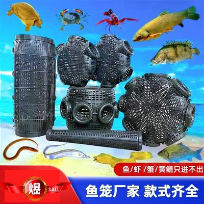 黄鳝善鱼笼自动进鱼只进不出渔笼