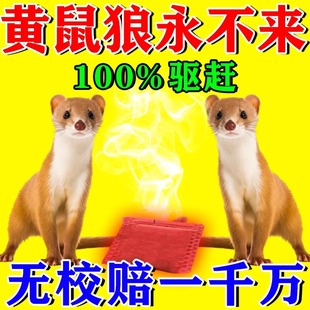 驱黄鼠狼专用药养鸡防黄鼠狼神器养殖场强力气味驱赶吓黄鼠狼克星