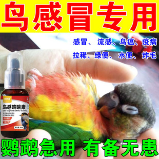 鹦鹉感冒药咳喘康专用拉稀气喘咳嗽玄凤鸽子常备用药呼吸道鸟康