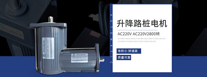 三相异步电机非标