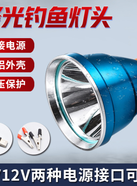 usb钓鱼专用蓝光灯头5v12v夜钓灯头超亮强光白光头戴式野钓户外灯