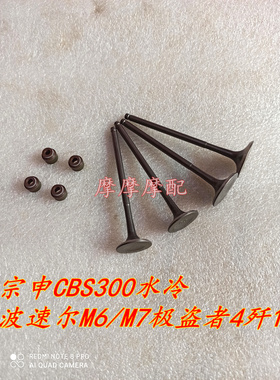 适用于宗申CBS300四气门水冷波速尔M6/M7极盗者4歼1嘉爵气门油封
