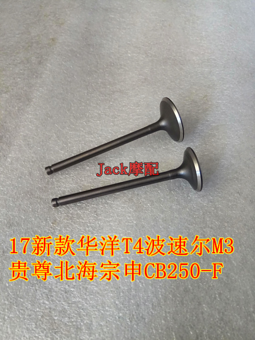 17新款华洋t4波速尔m3大头机气门