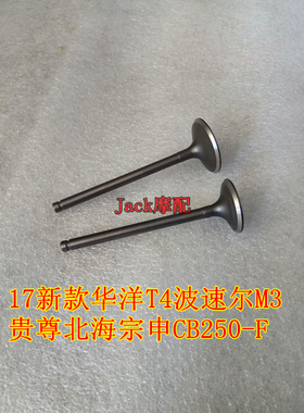 适用于华洋T4波速尔M3贵尊北海宗申CB250-F气门OTOM大头机气门