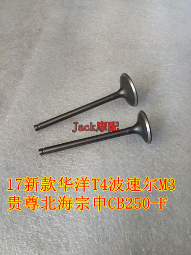 17新款华洋t4波速尔m3大头机气门