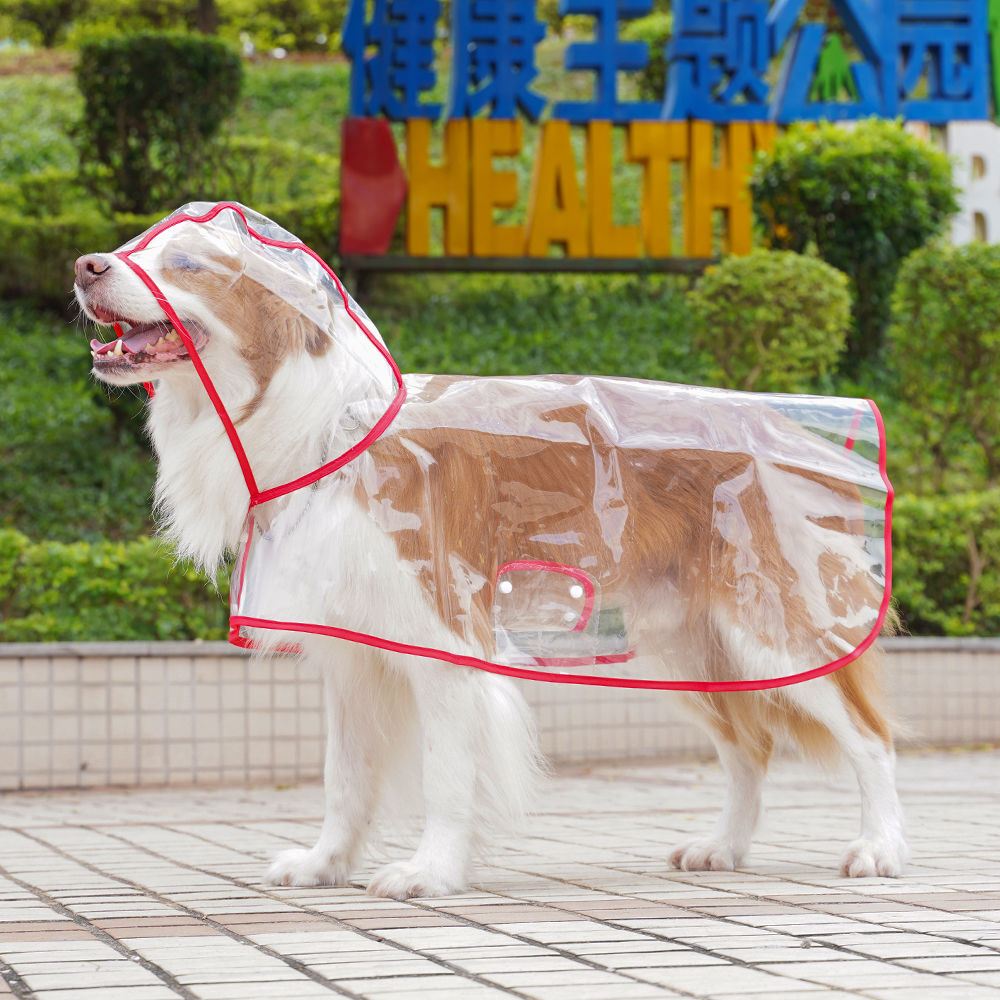 狗狗雨衣大狗外出透明四脚雨衣金毛拉布拉多边牧大型犬宠物衣服