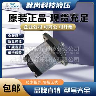 土耳其BLUE ASCEND齿轮泵AP20.250 AP20.340 AP20.400 AP20.040泵