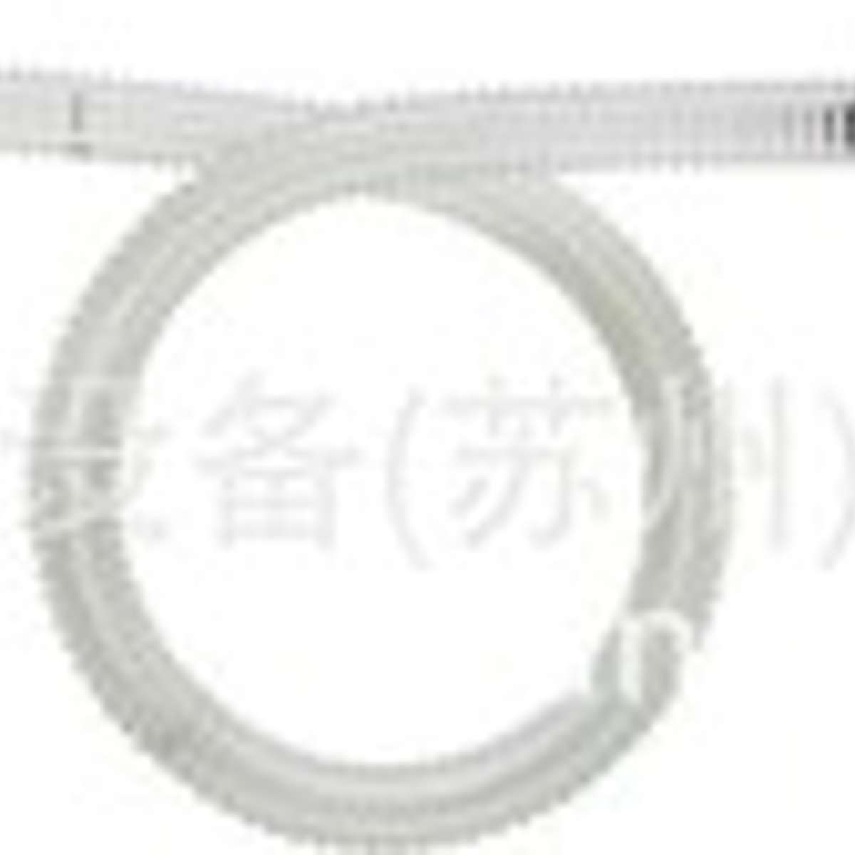 W301-Ⅲ-LH-B日本大泽OSAWA气动吸尘枪吹尘枪吹 冷却 干燥收集