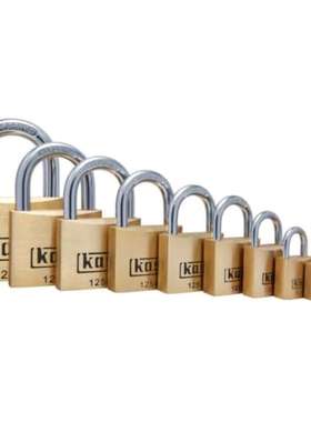 Kasp K12540D Kasp 夹具防水黄铜挂锁 22mm 挂钩 40mm 琴身