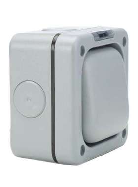 MK Electric K56400GRY MK 电灰色户外灯开关 一路一向 帮派 Mast