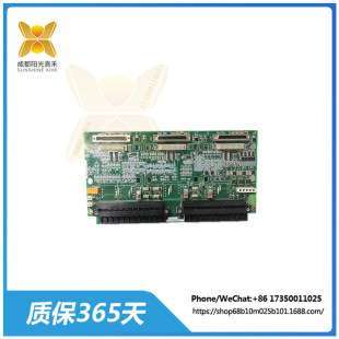 数字输入输出I MRP246517 模块 IS200TSVCH2AED