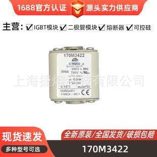 170M3422 170M3423 170M3461熔断器 电子元器件