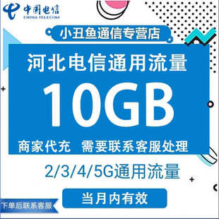 河北电信流量充值10GB流量包3G 5G国内通用流量叠加包当月有效