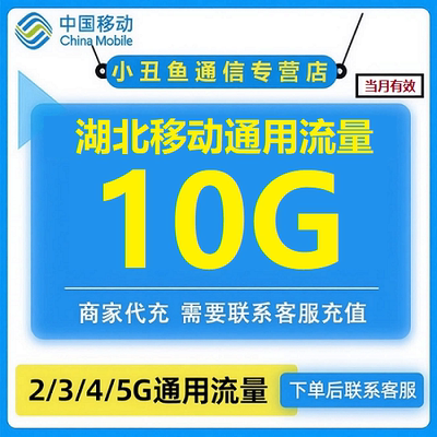 湖北移动流量10G手机流量充值4/5G通用移动流量加油包当月有效