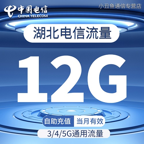 湖北电信流量充值12GB流量包3G4G5G全国通用流量叠加油包当月有效