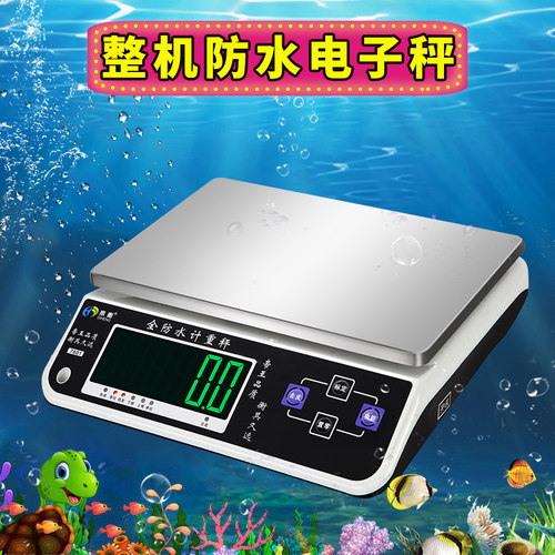 全防水计重台秤30kg小