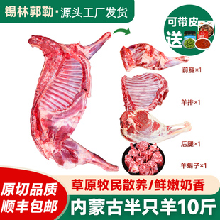 半只羊10斤新鲜内蒙古锡盟羊肉羊腿羊蝎子非现杀宁夏滩羊礼盒带皮
