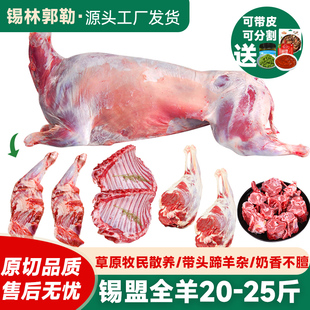 全羊整只白条羊新鲜内蒙古锡盟羊肉羊腿羊蝎子非现杀宁夏滩羊礼盒