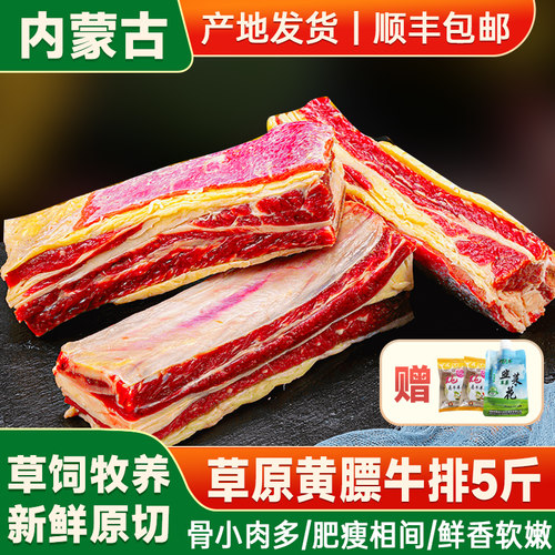 锡盟草原原切黄膘牛肋排5-10斤