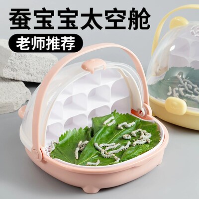 蚕宝宝蚕卵套装学生养蚕套装活体新鲜桑叶工具箱太空舱饲养盒包活