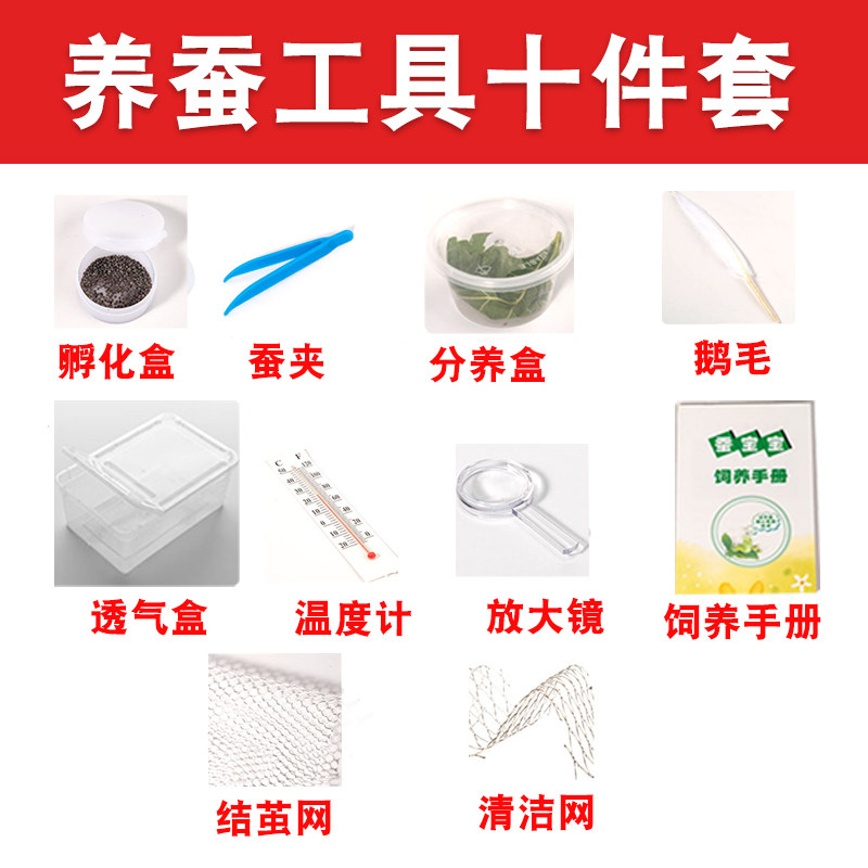养蚕工具10件套 鹅毛 羽毛 蚕种 蚕卵 蚕子 蚕宝宝 分养盒 饲养箱