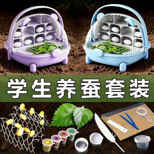 蚕宝宝蚕卵套装学生养蚕套装活体新鲜桑叶工具箱太空舱饲养盒包活