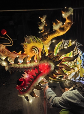 龙灯舞龙全套龙灯舞龙全套发光舞龙道具龙头舞龙国标龙庙会舞龙
