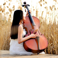 红棉c030大提琴初学手工专业演奏级实木大提琴西洋弦乐器4/4提琴