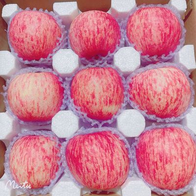【顺丰礼盒】陕西红富士苹果香脆甜多汁水果礼盒延安苹果颗颗精选