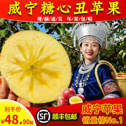 贵州威宁冰糖心苹果应季高山丑苹果红富士多汁酥脆霜降水果
