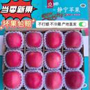 包邮 甘肃静宁红富士苹果冰糖心脆甜现摘现发当季 新鲜水果10斤整箱