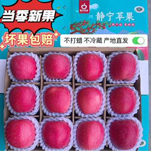 包邮 甘肃静宁红富士苹果冰糖心脆甜现摘现发当季 新鲜水果10斤整箱