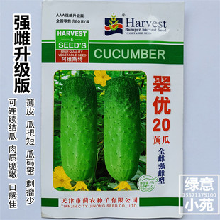 强雌升级版翠优20水果黄瓜种孑生吃甜脆高产 节节瓜黄瓜种籽 四季