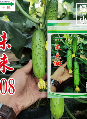 全雌未来108水果黄瓜种子节节瓜