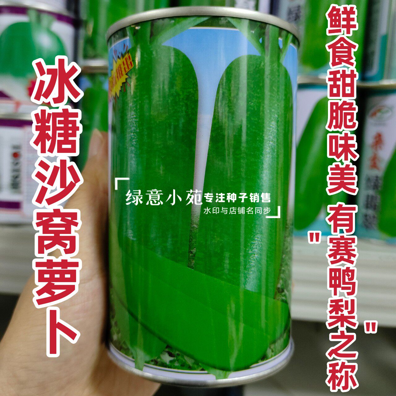 天津冰糖沙窝萝卜种子正宗甜脆里外青萝卜种孑脆甜水果青萝卜种子