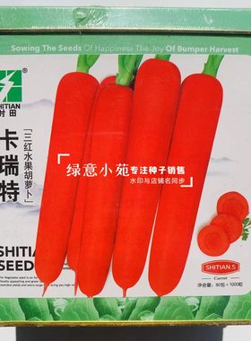 卡瑞特三红水果胡萝卜种子甜脆皮肉芯桔红胡萝卜种籽秋季水果种孑