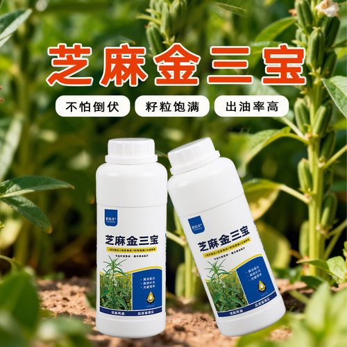芝麻金三宝籽粒饱满芝麻叶面肥