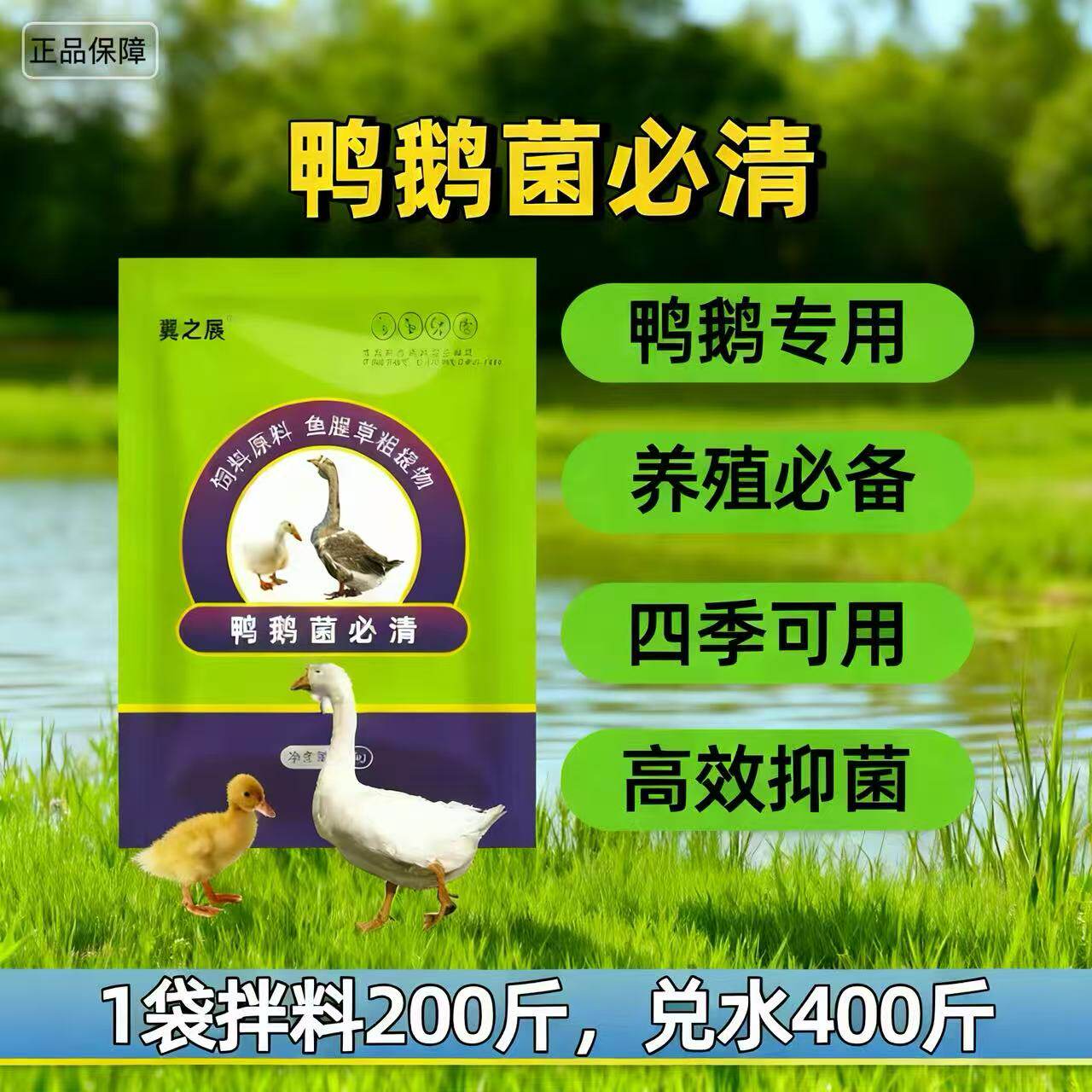 【鸭鹅菌必清】高效抑菌养殖鸭鹅常备饲料添加剂正品