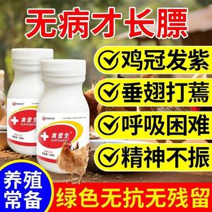 禽壹生鸡鸭鹅鸽子鹌鹑家禽通用精神萎靡呆立不食流眼泪