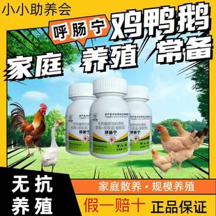 呼肠宁鸡鸭鹅鸽子鹌鹑四季养殖常备天然兽用饲料原料安全禽畜通用